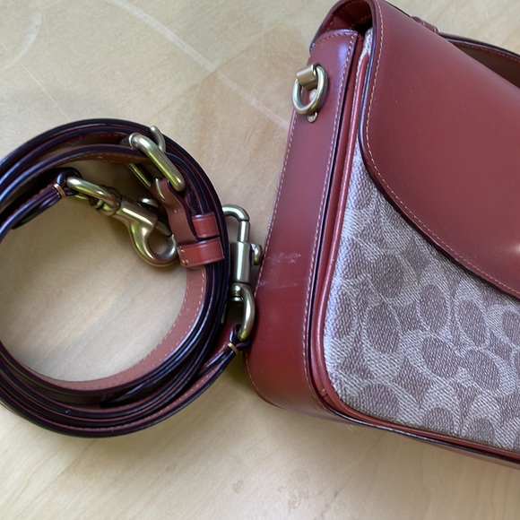 Cassie - Picture 2 of 9